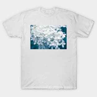 White Hydrangea Blossoms in Summer Garden T-Shirt